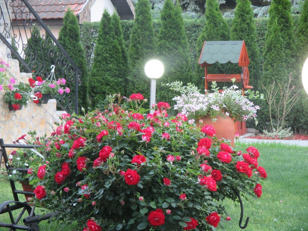 Vila Boska ปาลิช ภายนอก รูปภาพ
